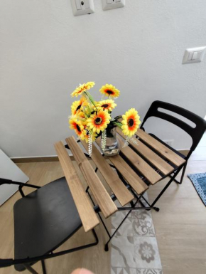 Causunara's apartment Grazia Catania
